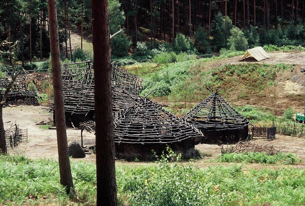 Bourne Woods, Surrey, England