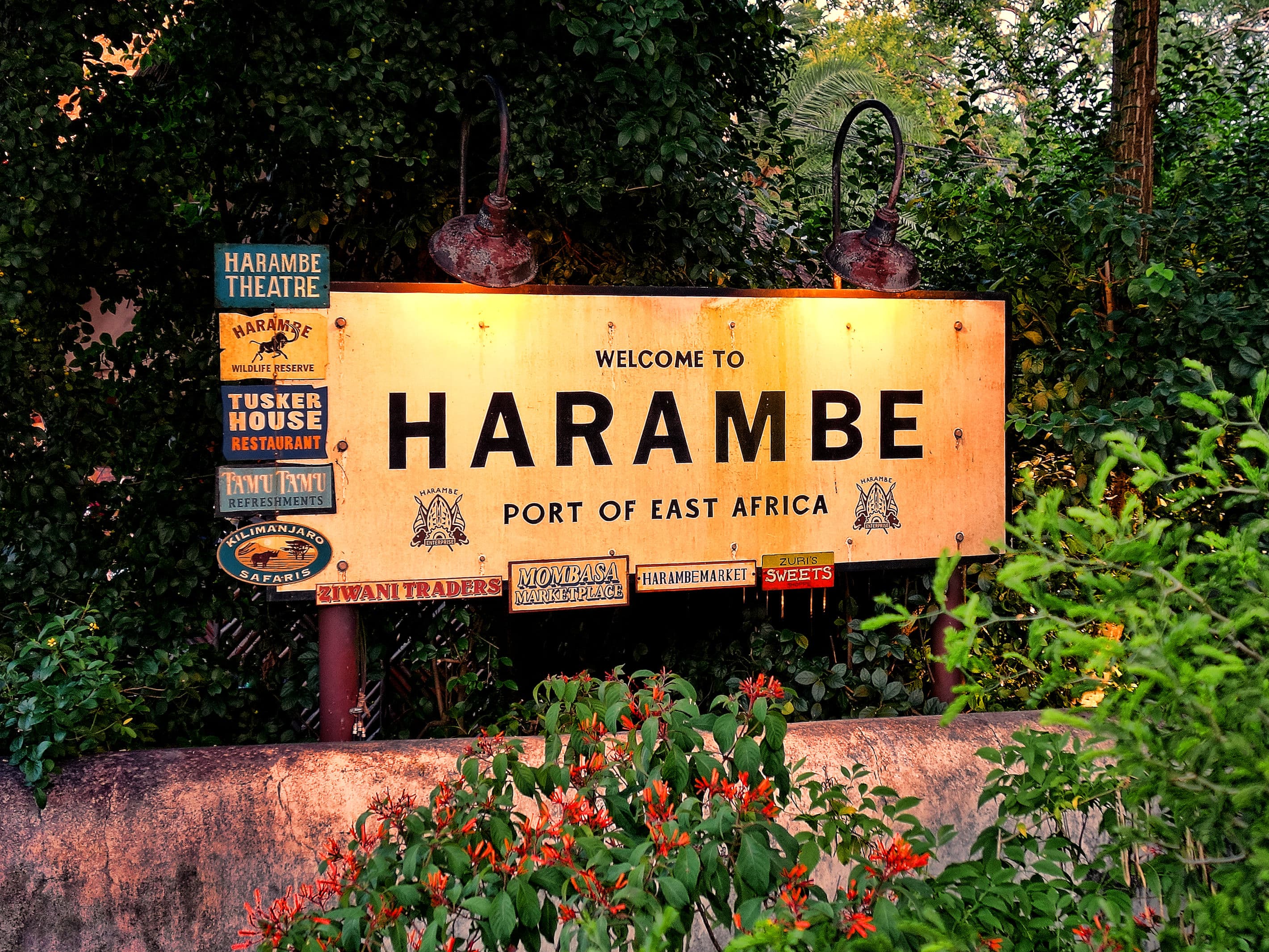 Disney's Animal Kingdom, Flórida