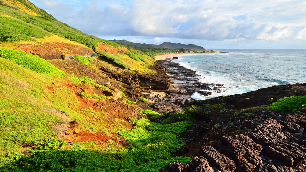 Halona Cove, Oahu
