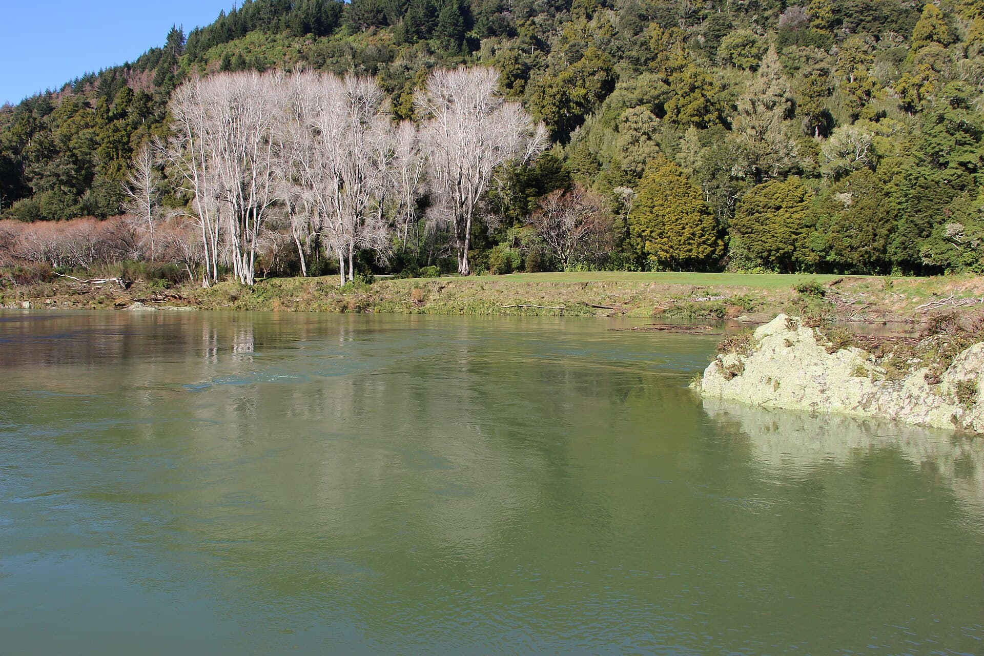 Pelorus River, New Zealand