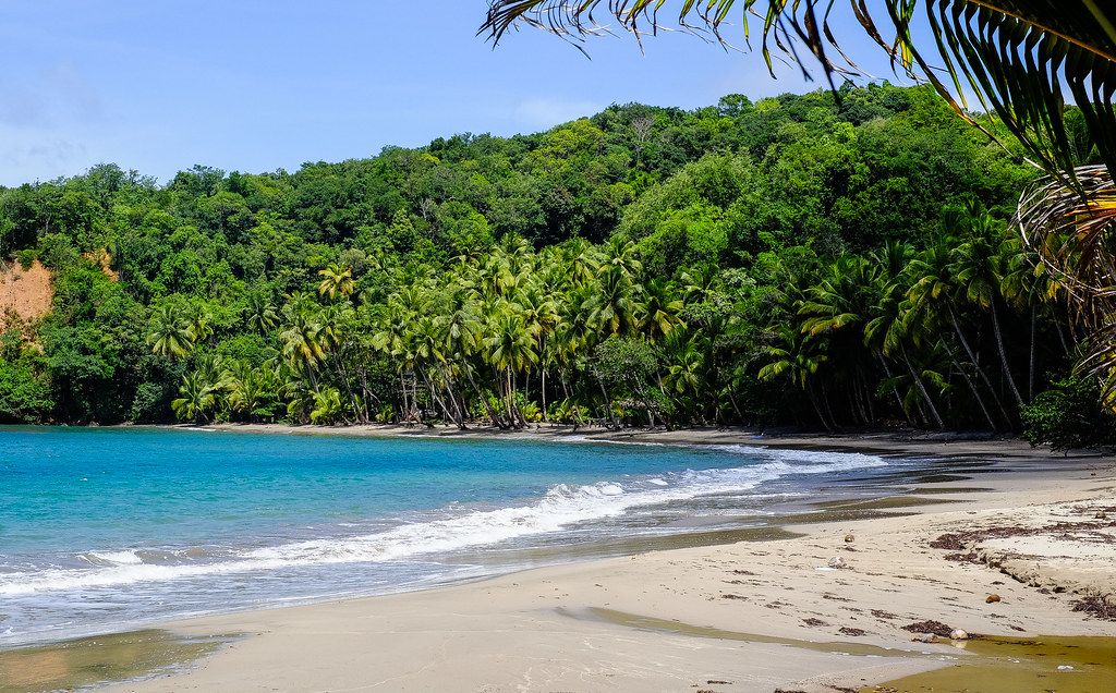 Dominica