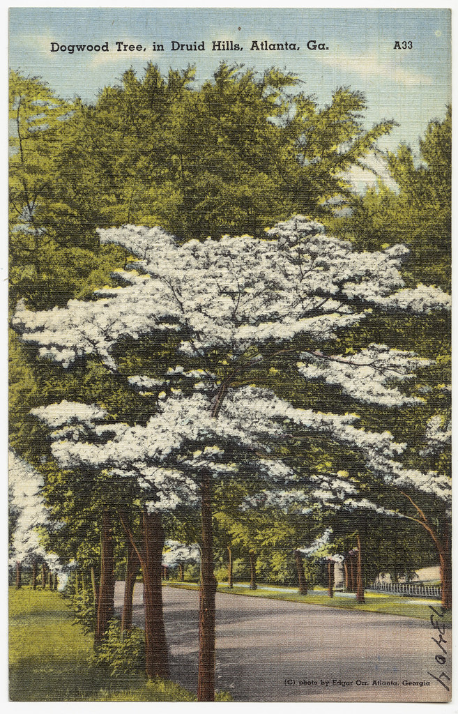 Druid Hills, Atlanta