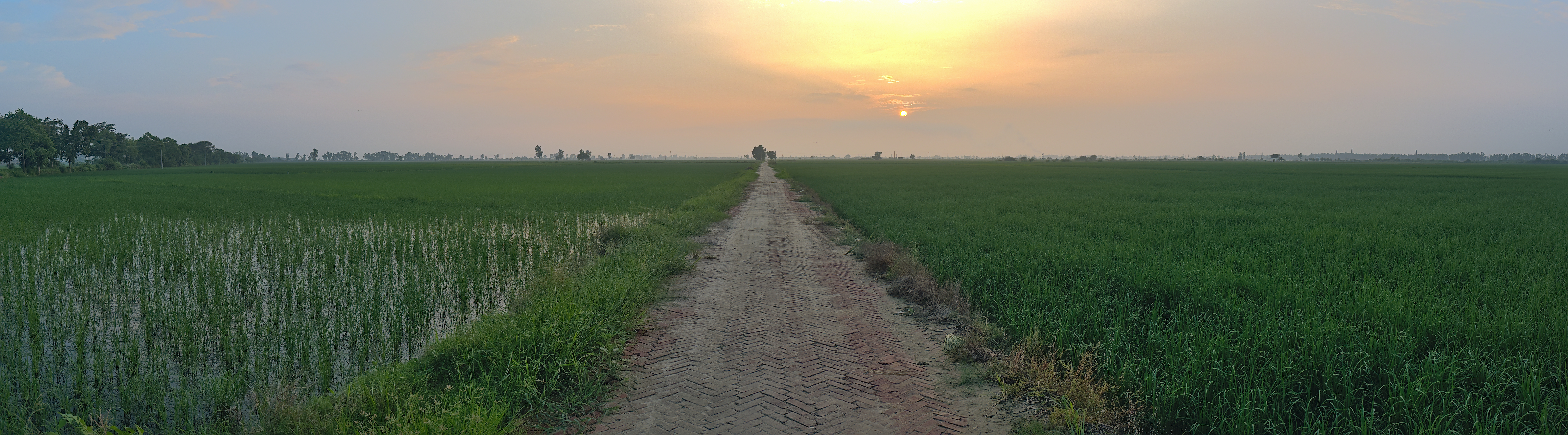 Haryana, India