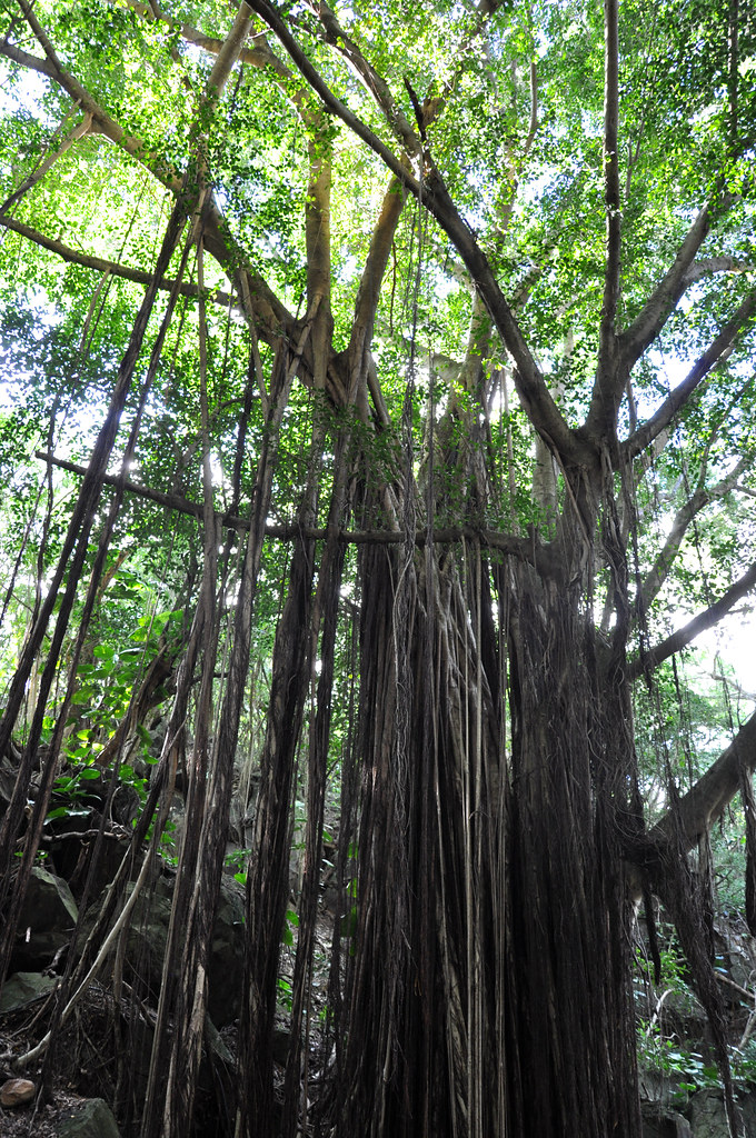 Kapena Falls, Honolulu