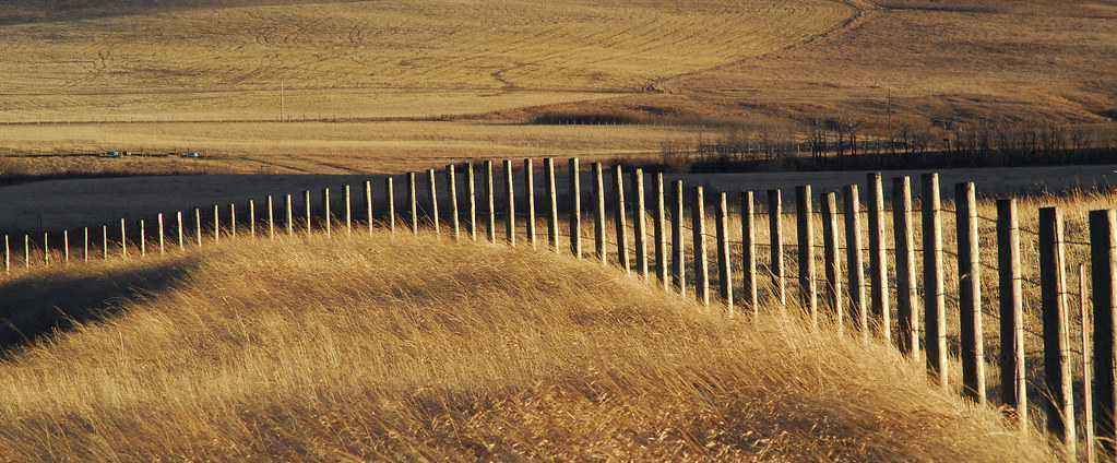 Longview, Alberta