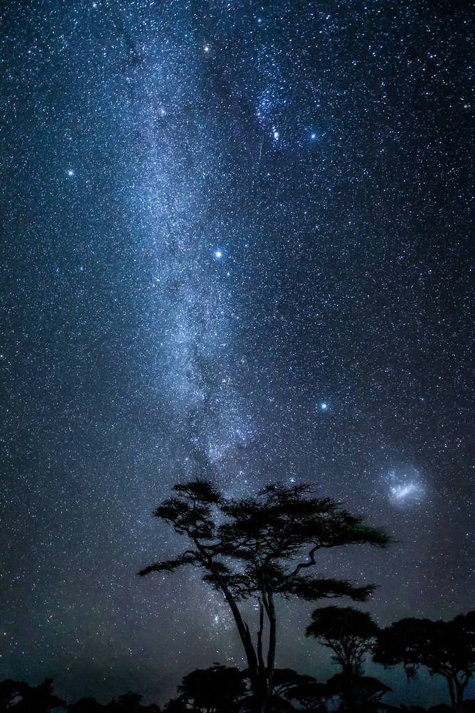 Serengeti, Tanzania