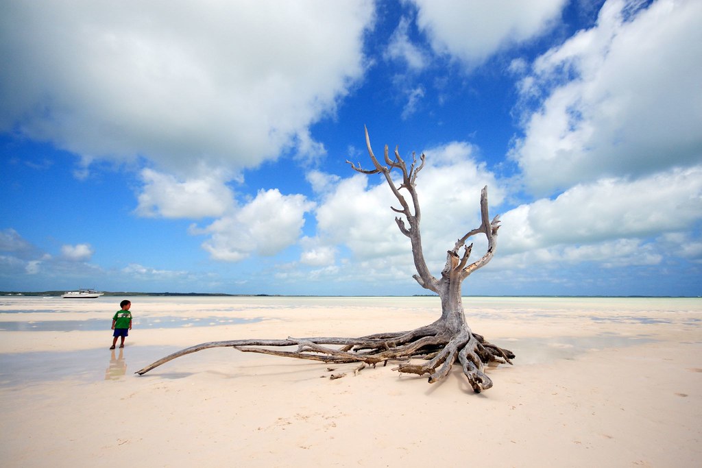 The Bahamas