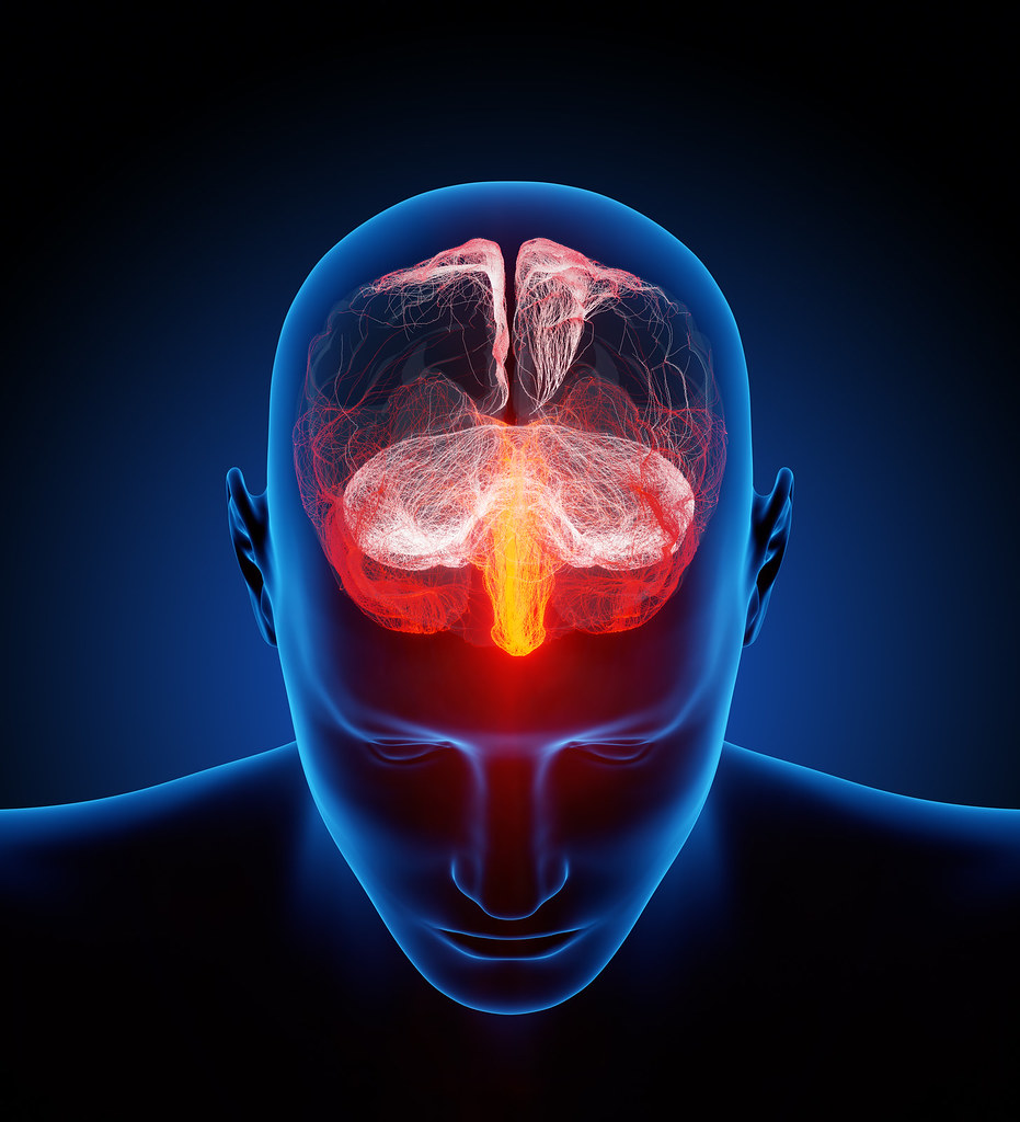 The Human Mind (conceptual)